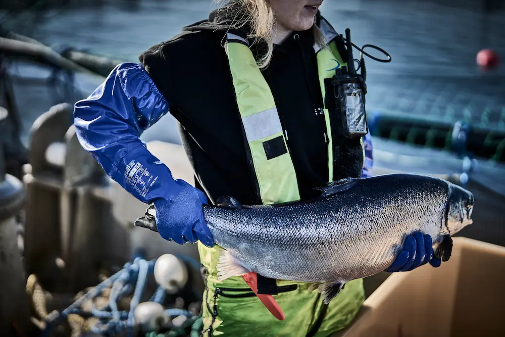 En dame hald ein stor fisk iført hanskar fra Granberg