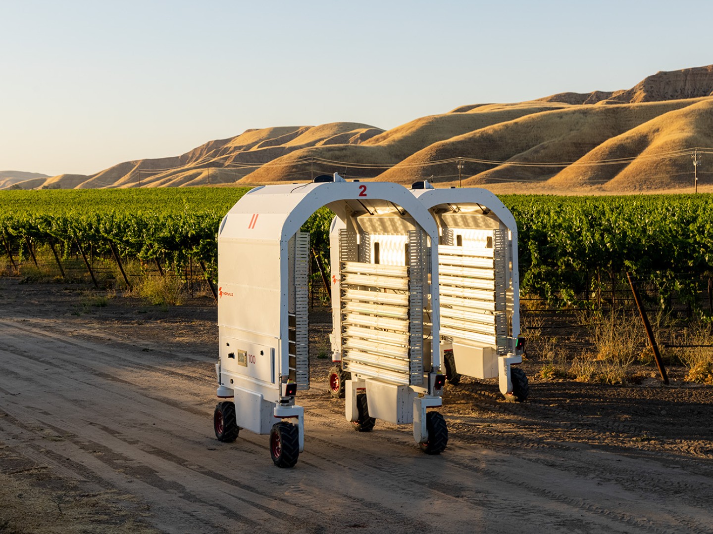 Two autonomous robots, developed for agriculture by Saga Robotics, on a country road with vineyards in the background.