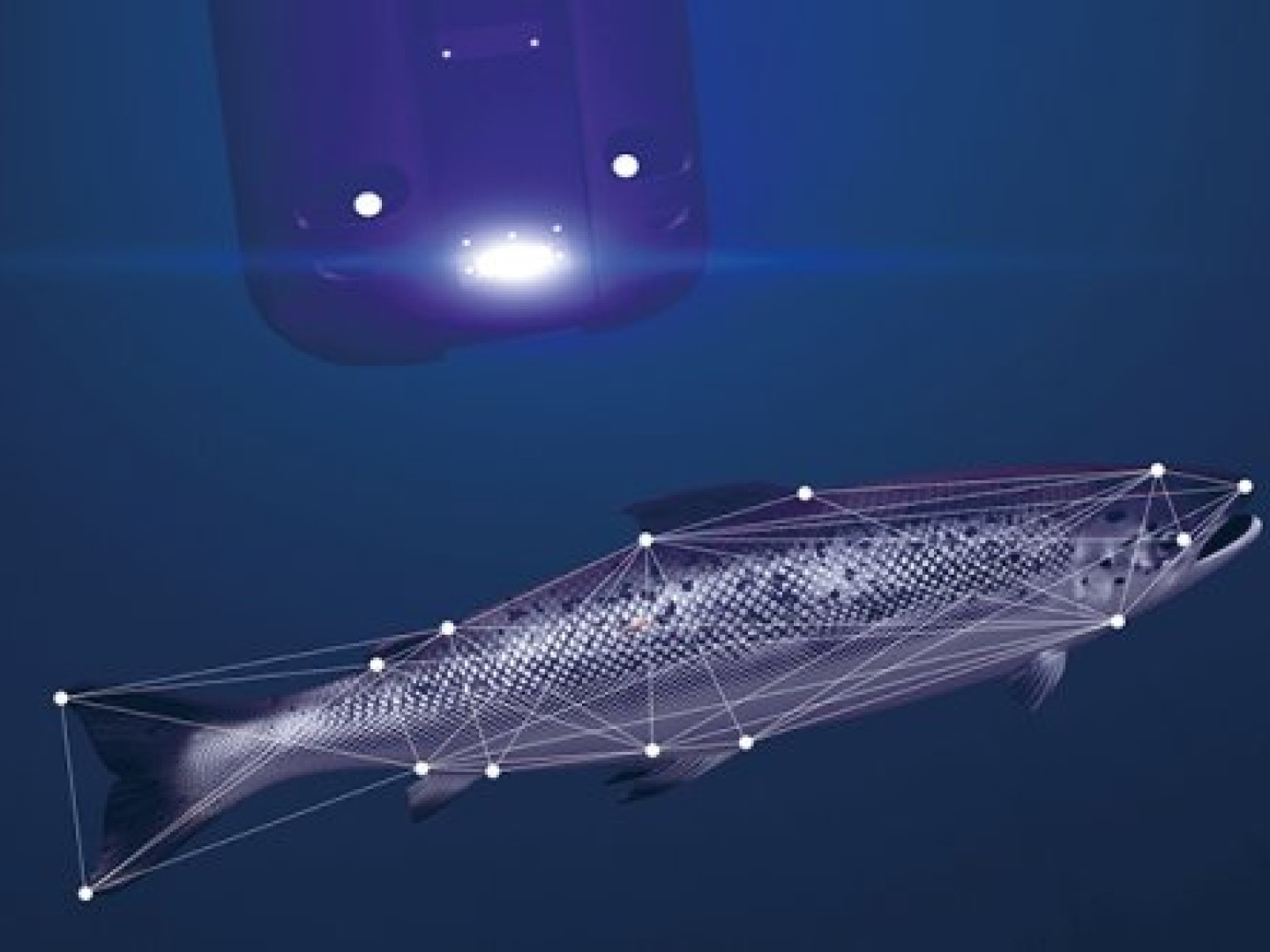 illustration of a salmon and a laser device.
