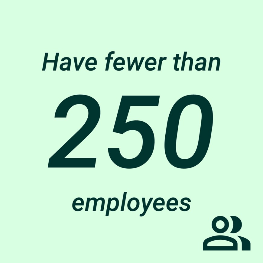 Illustration with the text "Under 250 employees" and an icon of two people in the bottom right.