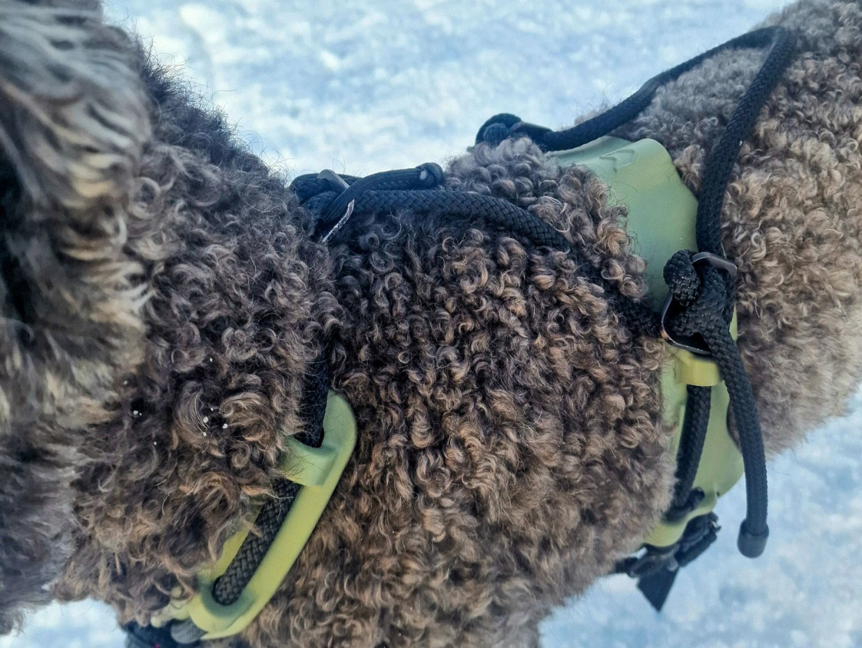 Detalj Canion hundesele: bro over rygg