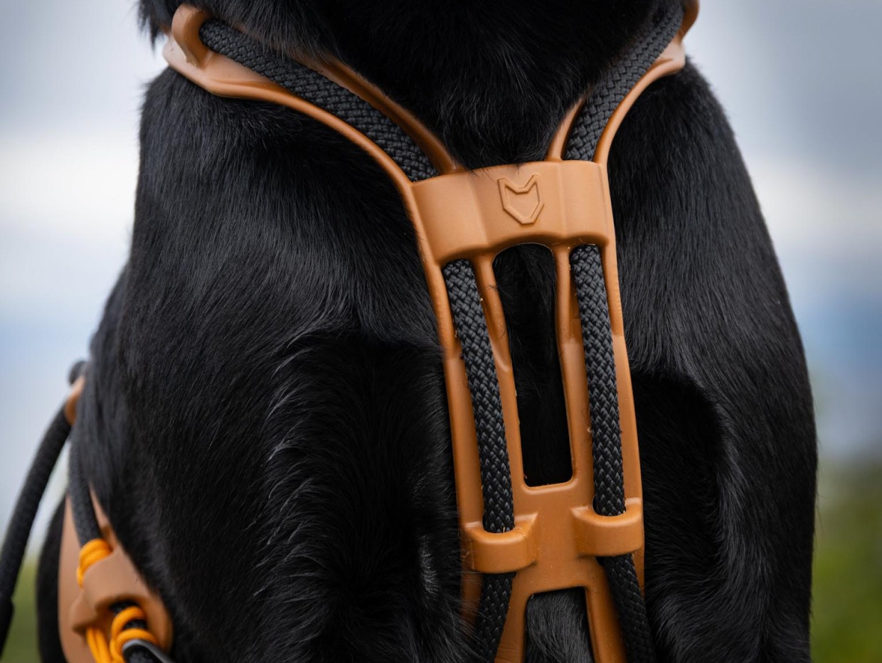 Detalj Canion hundesele: bro over hals