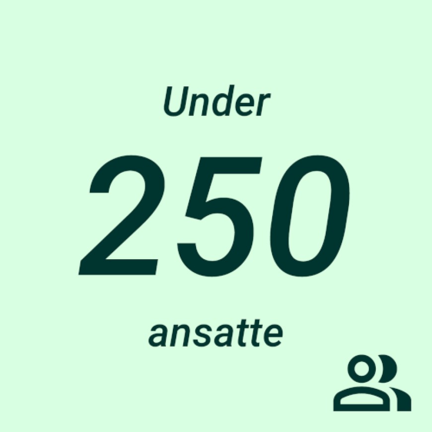 Illustrasjon med teksten "Under 250 ansatte" og et ikon av to personer nederst til høyre.